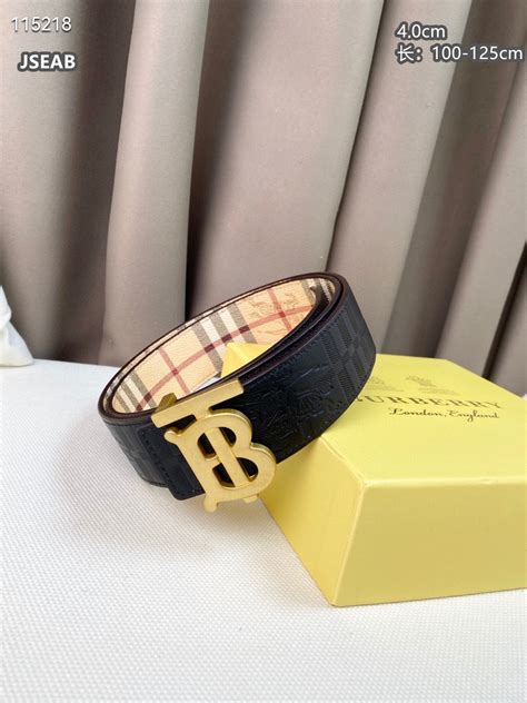 AAA Quality BURBERRY Jewelry